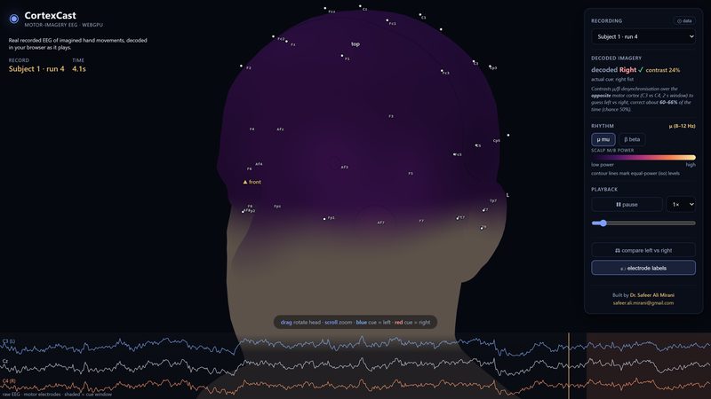 CortexCast: motor-imagery EEG decoded live with a scalp topomap
